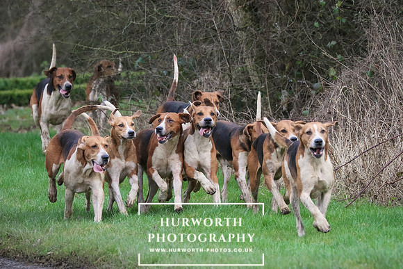 Hurworth Hunt -84