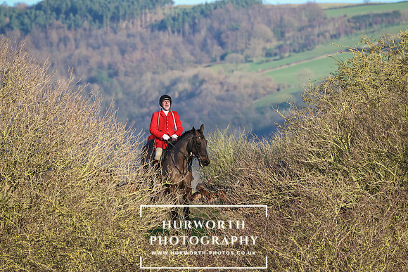 Hurworth Hunt 147