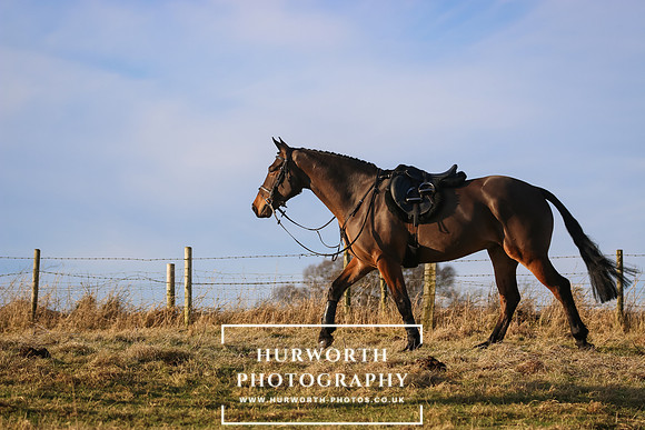 Hurworth Hunt 138
