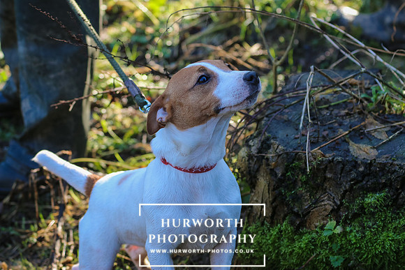 Hurworth Hunt 80