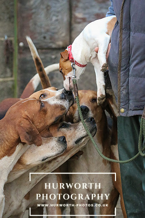 Hurworth Hunt 62