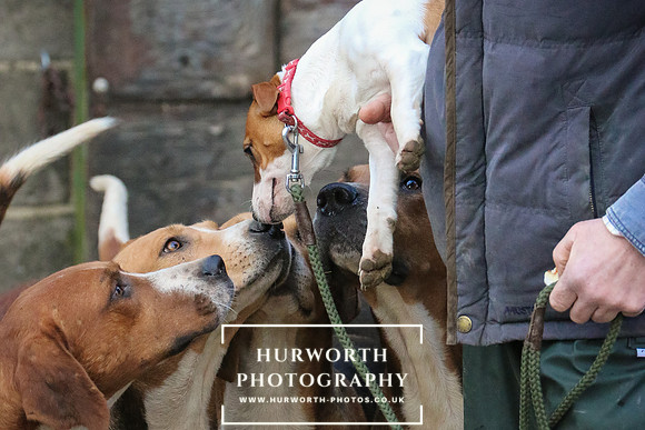 Hurworth Hunt 61