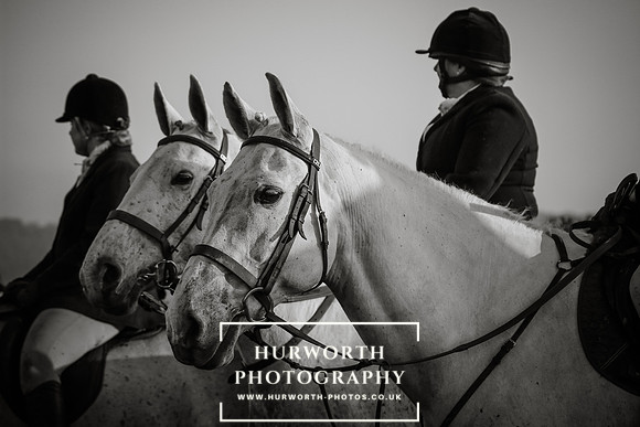 Hurworth Hunt -200