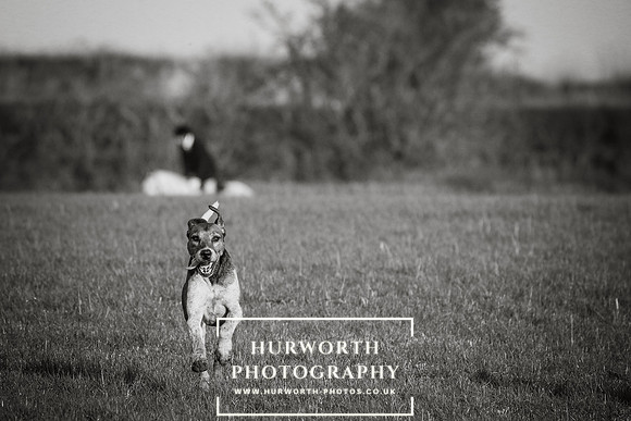 Hurworth Hunt -164
