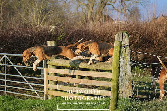 Hurworth Hunt -112
