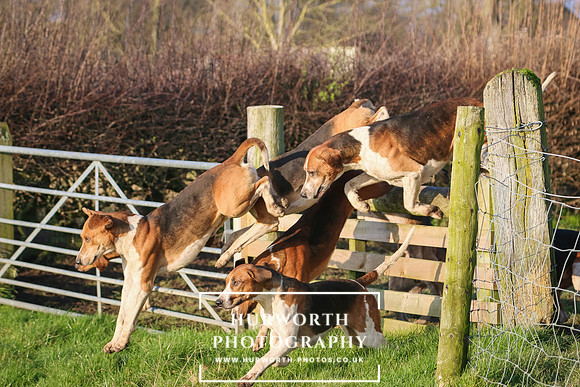 Hurworth Hunt -103