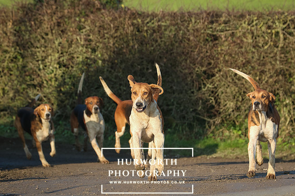 Hurworth Hunt -99
