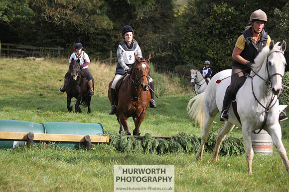 Hurworth Bilsdale Hedge Hop 050