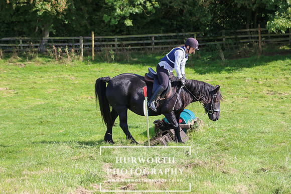 Hurworth Hunt 014