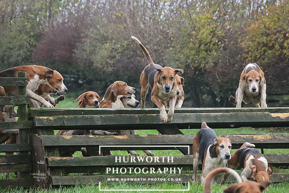 Hurworth Hunt  126