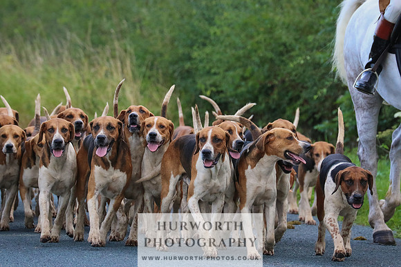 Hurworth Hunt 67