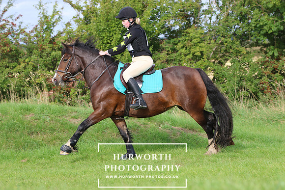 Hurworth Hunter Trial 37