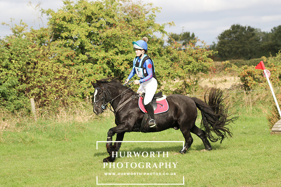 Hurworth Hunter Trial 173