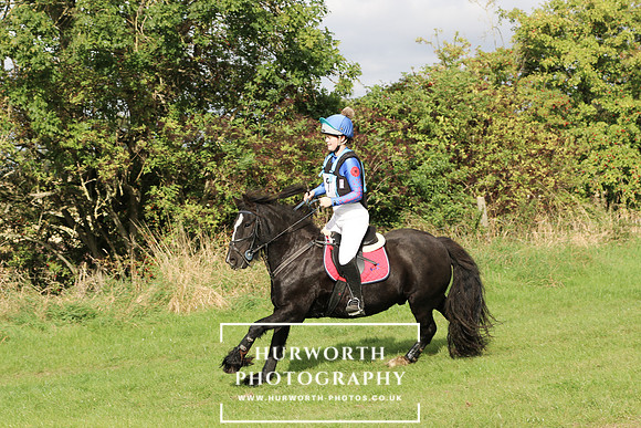 Hurworth Hunter Trial 174