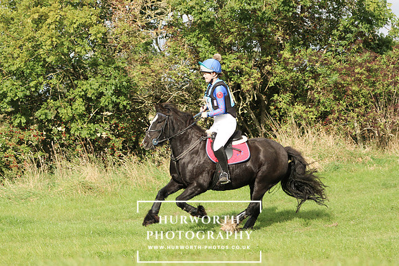 Hurworth Hunter Trial 175