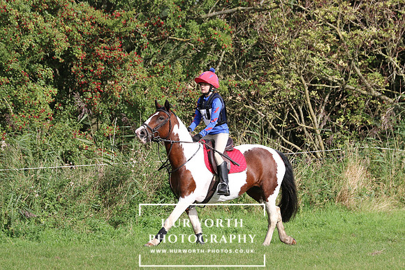 Hurworth Hunter Trial 195