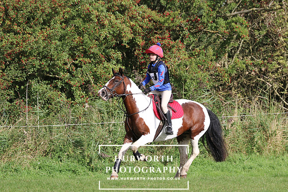 Hurworth Hunter Trial 196