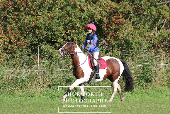 Hurworth Hunter Trial 197