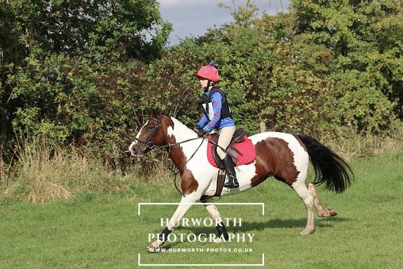 Hurworth Hunter Trial 201