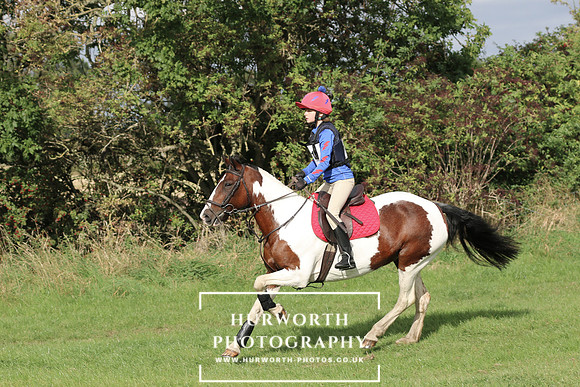 Hurworth Hunter Trial 202