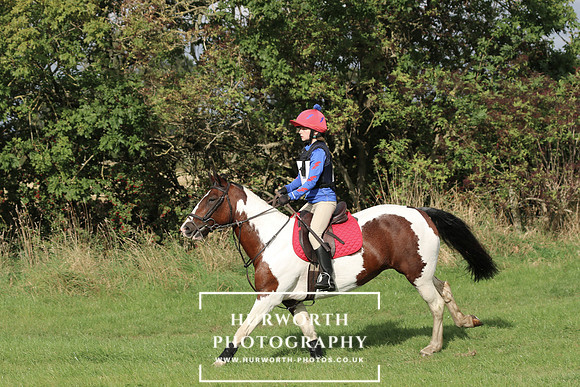 Hurworth Hunter Trial 203