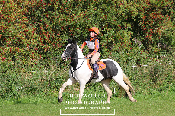 Hurworth Hunter Trial 225