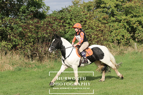 Hurworth Hunter Trial 229