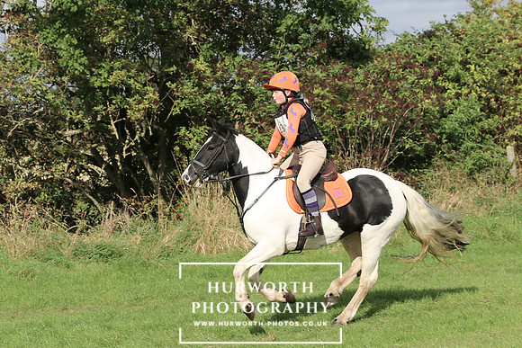 Hurworth Hunter Trial 230
