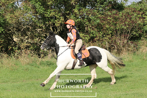Hurworth Hunter Trial 231