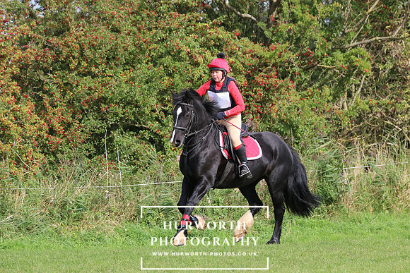 Hurworth Hunter Trial 31