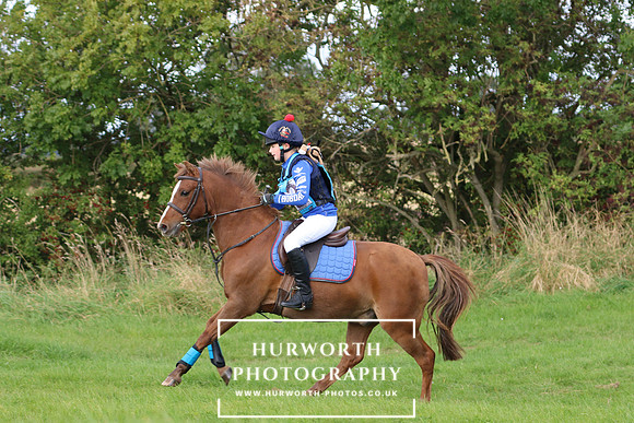 Hurworth Hunter Trial 113