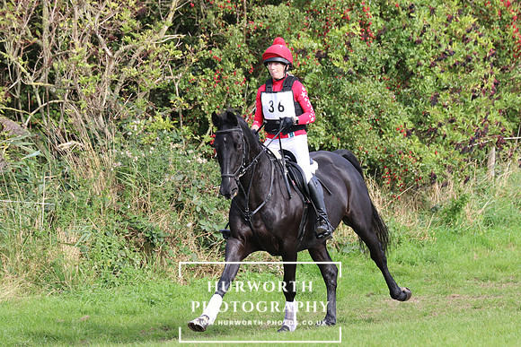 Hurworth Hunter Trial 150