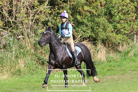 Hurworth Hunter Trial 264