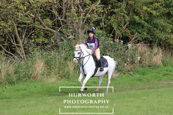 Hurworth Hunter Trial 269