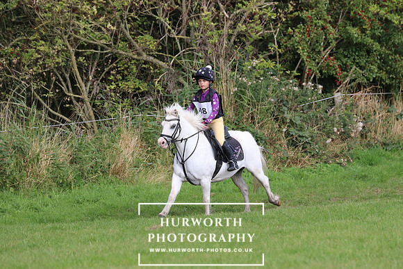 Hurworth Hunter Trial 270
