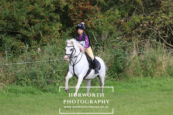 Hurworth Hunter Trial 271