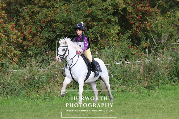 Hurworth Hunter Trial 272