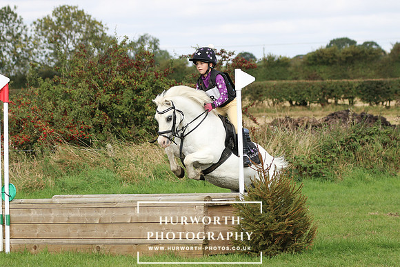 Hurworth Hunter Trial 273