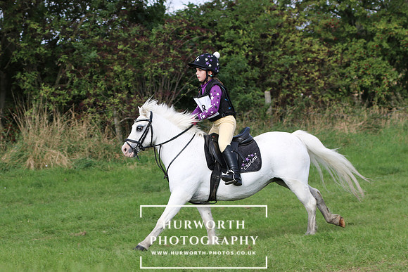 Hurworth Hunter Trial 277