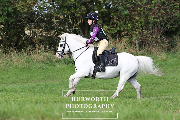 Hurworth Hunter Trial 278