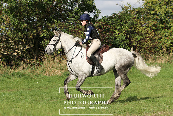 Hurworth Hunter Trial 290