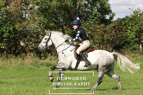 Hurworth Hunter Trial 291