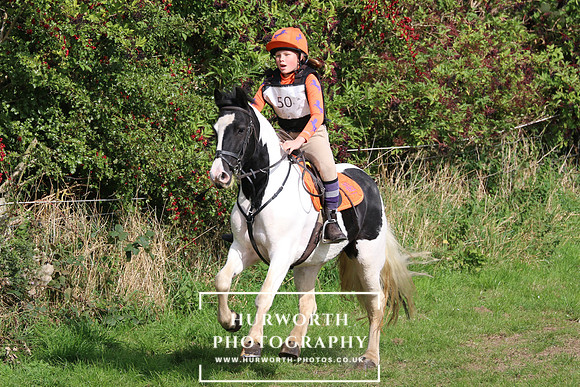 Hurworth Hunter Trial 297