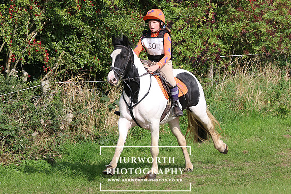 Hurworth Hunter Trial 298