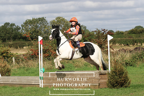 Hurworth Hunter Trial 300