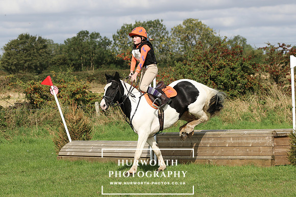 Hurworth Hunter Trial 302