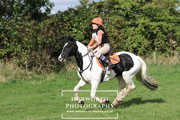 Hurworth Hunter Trial 304
