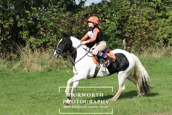 Hurworth Hunter Trial 305