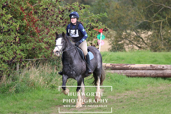 Hurworth Hunter Trial 329