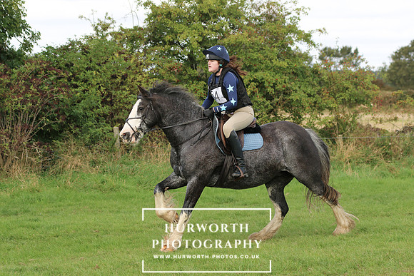 Hurworth Hunter Trial 336